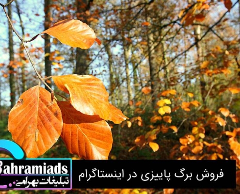 فروش برگ پاییزی در اینستاگرام
